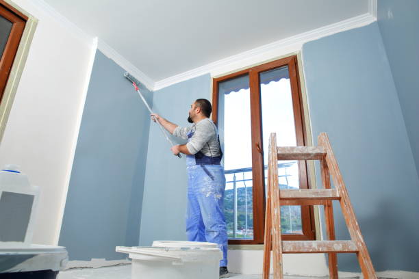 Best Stucco Painting  in Baileyton, AL